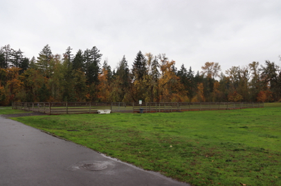 Grassy area to park at the fenced horse riding arena